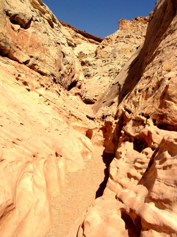 04160302LittleWildHorse (1023)